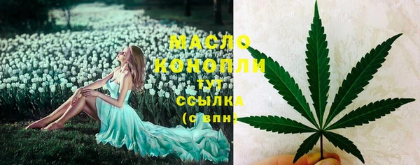 индика Балабаново