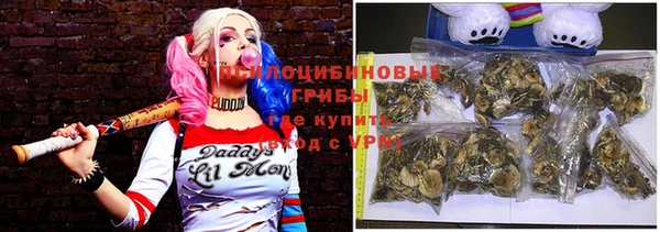 индика Балабаново