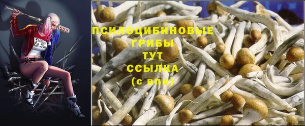 индика Балабаново
