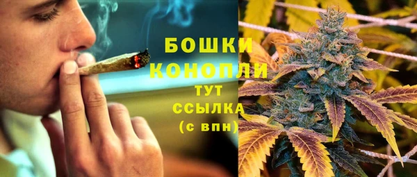 индика Балабаново