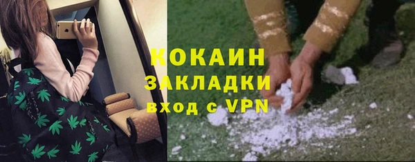 твердый Балахна
